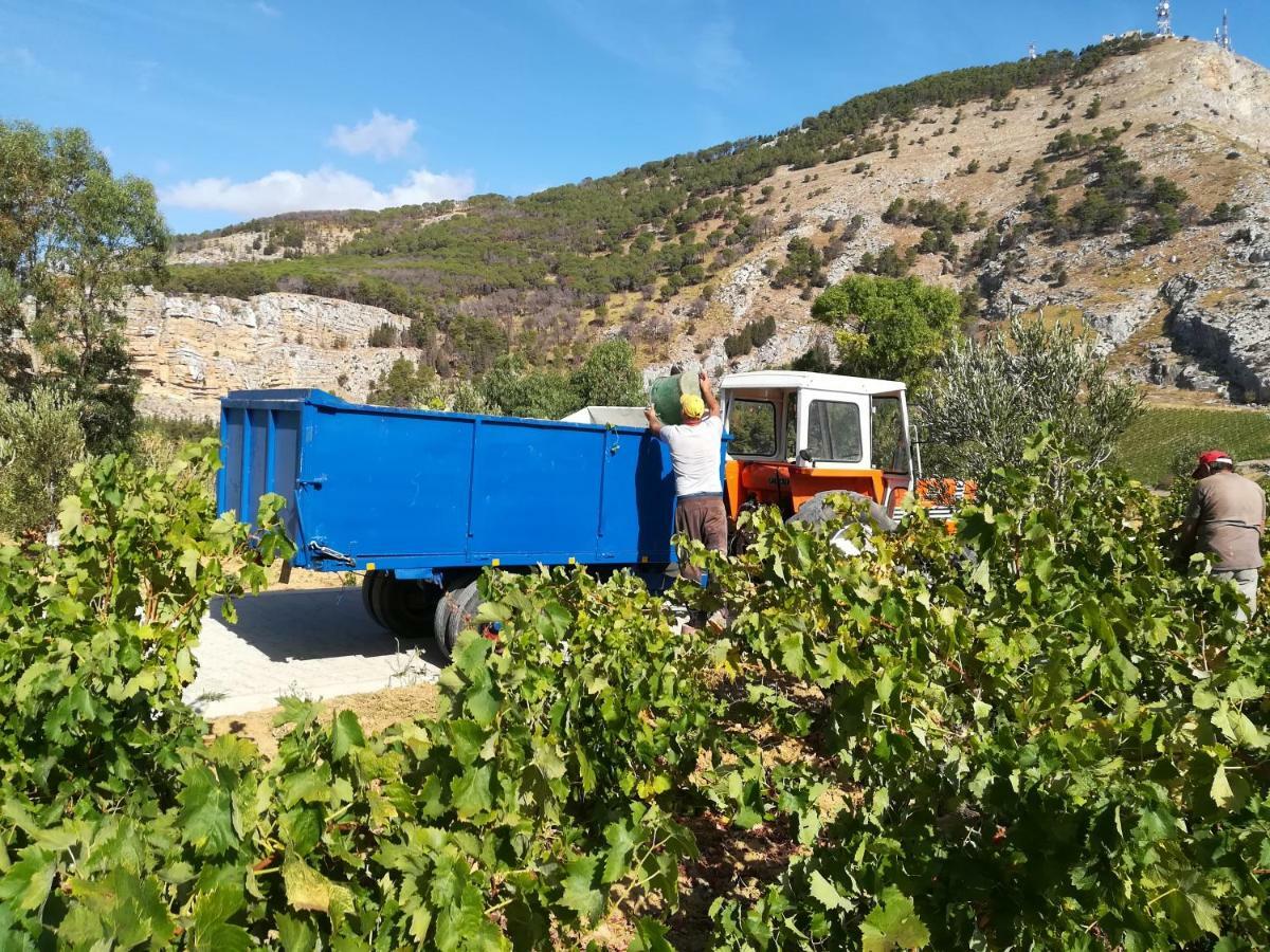 Villa Bonifato Vista Sulle Campagne E Sul Mare Siciliano Cozy House Italy Alcamo Exterior foto